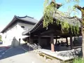城崎温泉の写真_275717