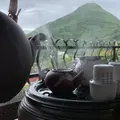 海悦楼観景茶坊の写真_275804