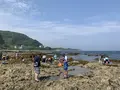 シークロップダイビングスクールの写真_276400