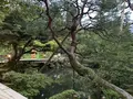 兼六園の写真_276728