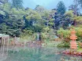 兼六園の写真_276735