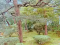 兼六園の写真_276736