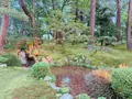兼六園の写真_276737