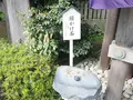 毛谷黒龍神社の写真_276792