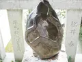 毛谷黒龍神社の写真_276795