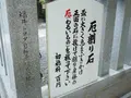 毛谷黒龍神社の写真_276796