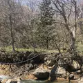 滑川大滝の写真_276854