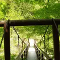 昇仙峡の写真_276902