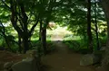 武田神社の写真_276909