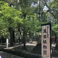 春日大社の写真_277013