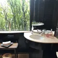 カフェ&ガーデン しらさぎ邸の写真_277064