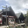 フィンランドの森の写真_277073