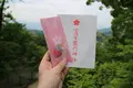 竈門神社の写真_277263