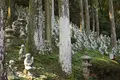 雷山千如寺大悲王院の写真_277340