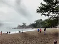 桂浜の写真_277393