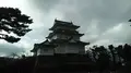 小田原城の写真_277866