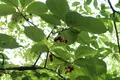 木場公園の写真_277909