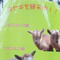 高鼻町４丁目の写真_27796