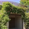 ローザンベリー多和田の写真_278112