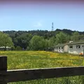 ローザンベリー多和田の写真_278113