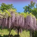 ローザンベリー多和田の写真_278114