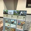 ローザンベリー多和田の写真_278115