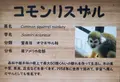 高鼻町４丁目の写真_27817