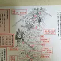 狭井神社の写真_278309