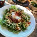 kawara CAFE & DINING 新宿東口店の写真_278320