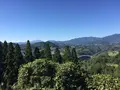 国見ヶ丘展望台の写真_278359