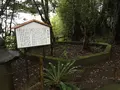 木花神社の写真_278405