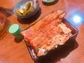 梅むらの写真_278435