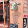 Collina kamakura gelatoの写真_278601