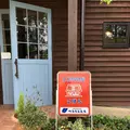 こぱんの写真_278879