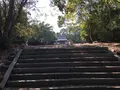 神武天皇社の写真_279009