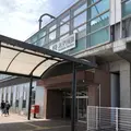 地底の森ミュージアムの写真_279066