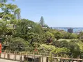 塩竈神社の写真_279113