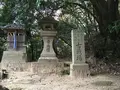 〒579-8001 大阪府東大阪市善根寺町６丁目７−６７の写真_279289