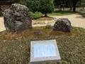 橿原神宮の写真_279313