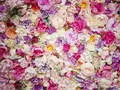 flowerpicniccafeの写真_279341