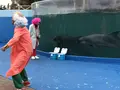 新屋島水族館の写真_279381