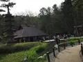 忍野 しのびの里の写真_279497