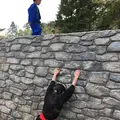 忍野 しのびの里の写真_279499
