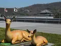 奈良県庁の写真_279653