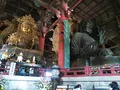 東大寺の写真_279658
