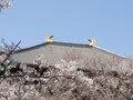 東大寺の写真_279666