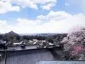 東大寺二月堂の写真_279671