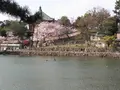猿沢池の写真_279679