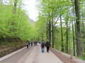 Schloss Neuschwanstein（ノイシュヴァンシュタイン城）の写真_280019