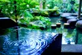武家屋敷跡 野村家の写真_280141